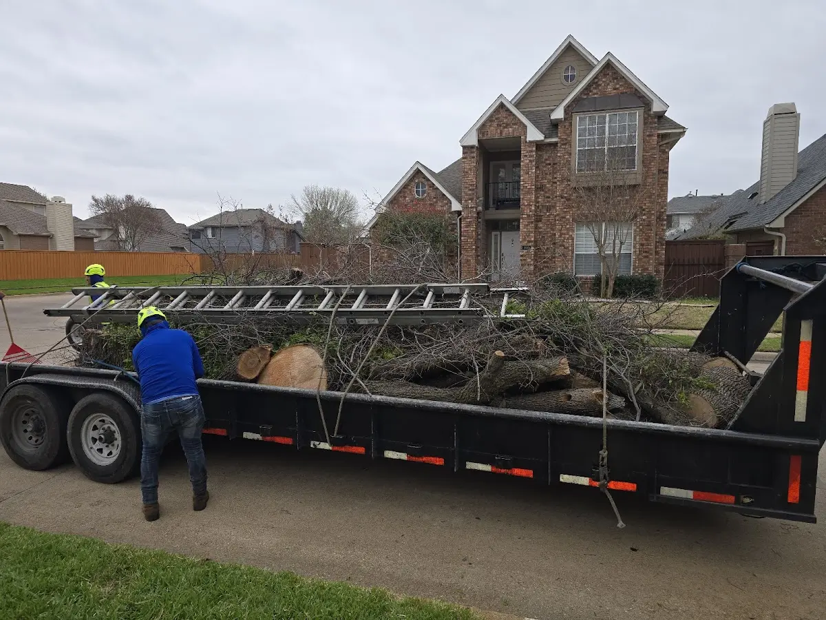 Expert Tree Fertilization with proper safety equipment in Bretz